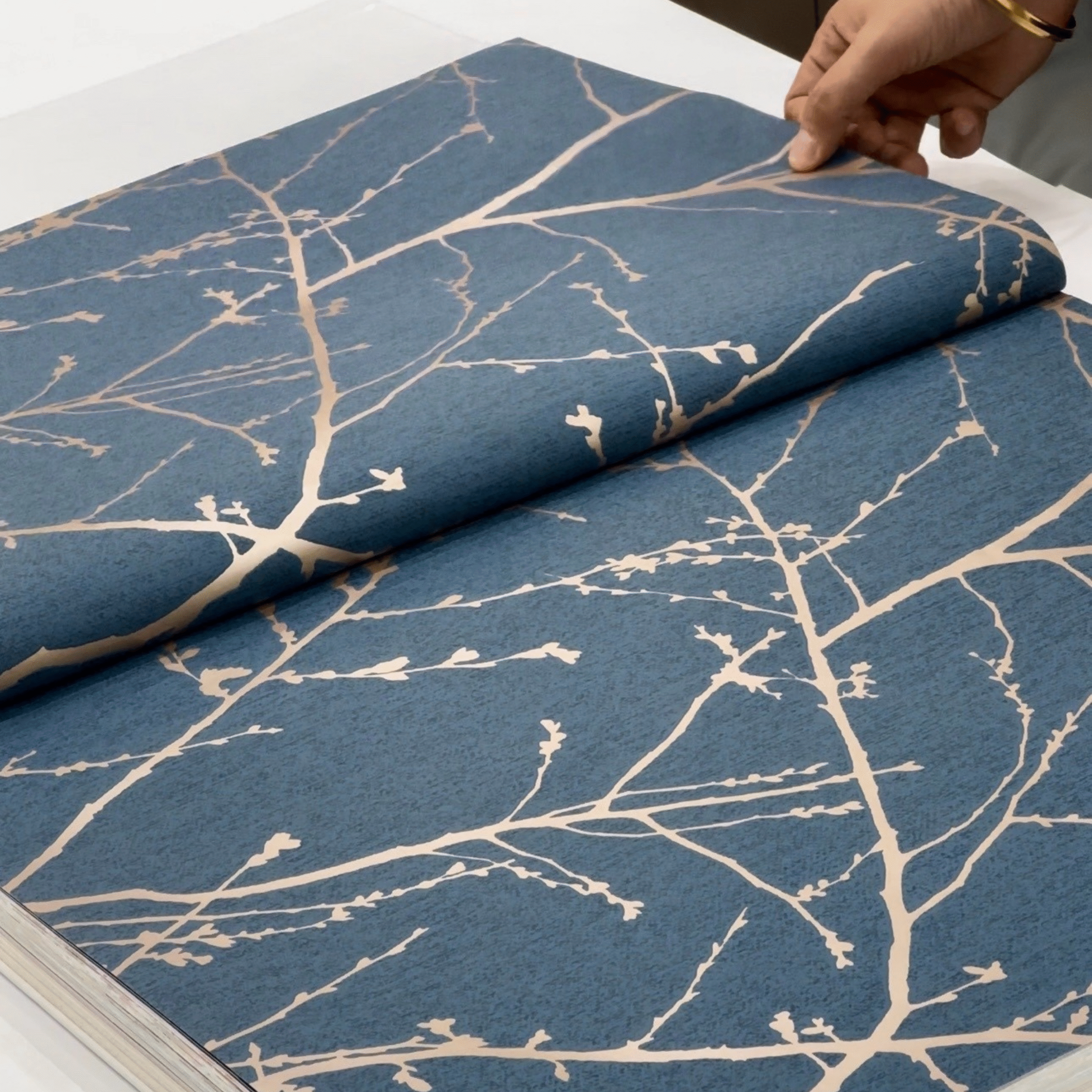 Bookista Wallpapers 9